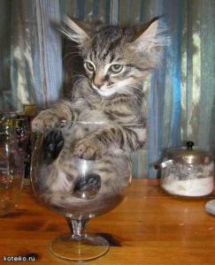 ����� ���������� � ����� ���� ����� ���������� 